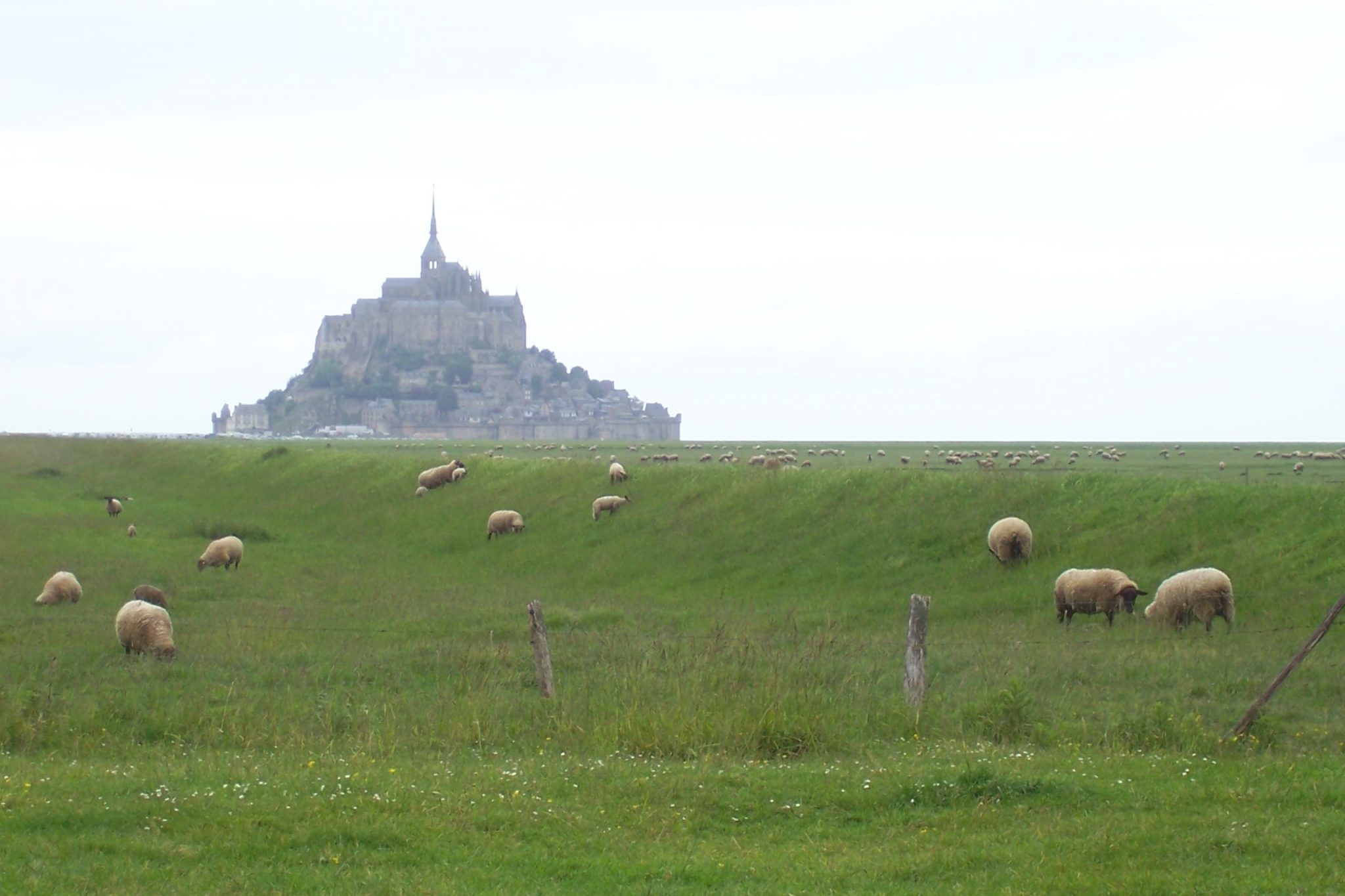 Daniel-Dinard-mai-2007-003